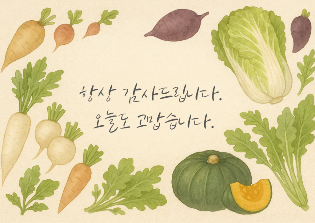 冬野菜韓国語