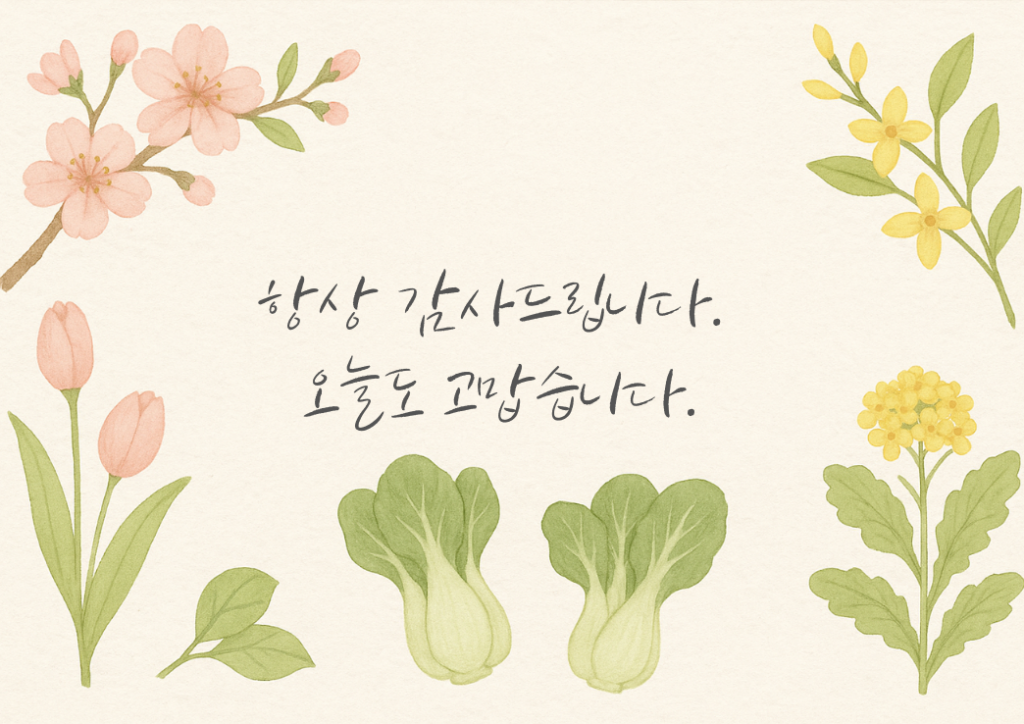 韓国春の紙懐紙